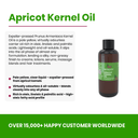 Apricot Kernel Oil - Aromantic UK