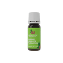 Diluted Jasmine Absolute - Aromantic UK