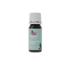 Eucalyptus Radiata Essential Oil - Aromantic UK