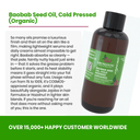 Organic Baobab Seed Oil - Aromantic UK