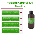 Peach Kernel Oil - Aromantic UK