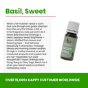 Sweet Basil Essential Oil - Aromantic UK