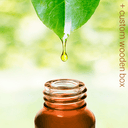 Aromatherapy Kit with 20 Essential Oils - Aromantic UK