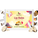 Lip Balm Kit - Aromantic UK
