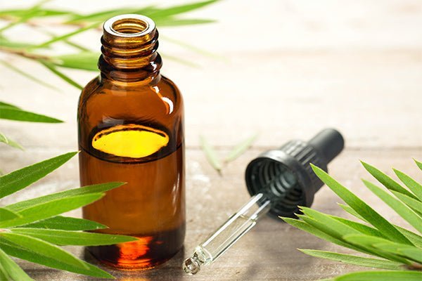 Blue Light Oil Blend