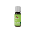 Lime Essential Oil - Aromantic UK