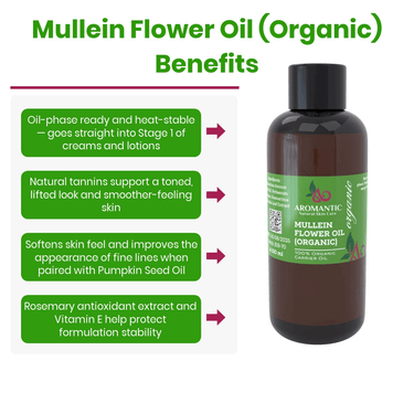 Organic Mullein Flower Oil - Aromantic UK