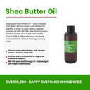 Shea Butter Oil - Aromantic UK
