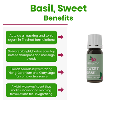 Sweet Basil Essential Oil - Aromantic UK