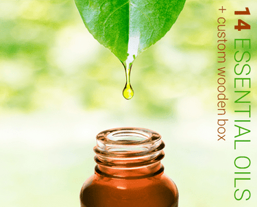 Aromatherapy Kit - 14 Essential Oils - Aromantic UK